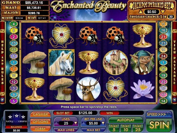 Nuworks Casino Software