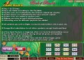 Birds of Paradise video slot rules