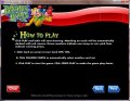 Instructions #2 for Bonus Bingo from RealTime Gaming
