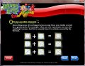Instructions #3 for Bonus Bingo from RealTime Gaming