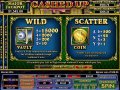 Wild and Scatter Pays