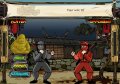 Ultimate Fighters Bonus Feature