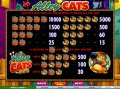 Alley Cats Pay Table