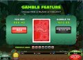Gamble Win