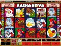 Shot from the video terminal of Cashanova Slots