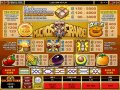Pay out table for Muchos Grande slots