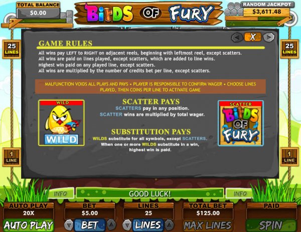 Birds of Fury Slots Rules