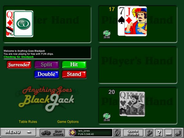 Anything-Goes Video Blackjack Game Screen