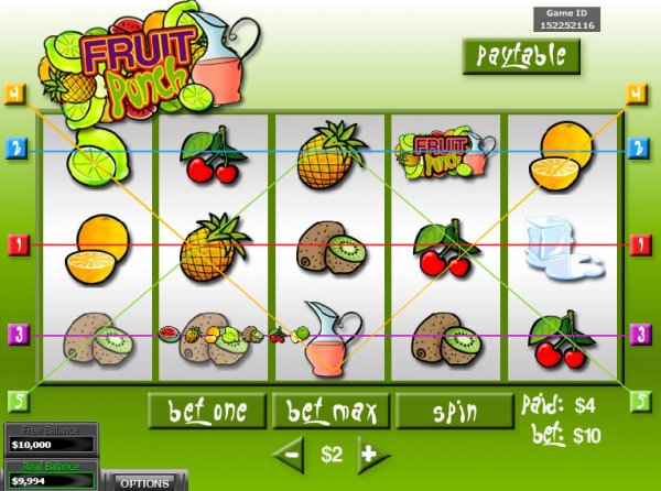 Fruit Punch Slots Game Reels