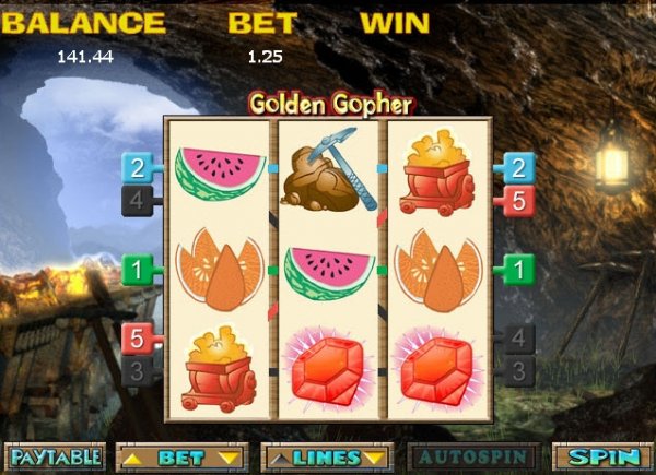 Golden Gopher Slots Game Reels