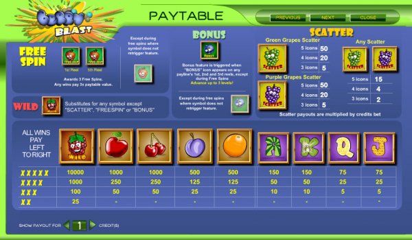 Berry Blast Slots Pay Table