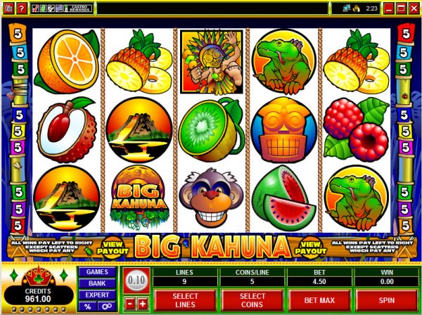 Screenshot of the Big Kahuna Video Screen