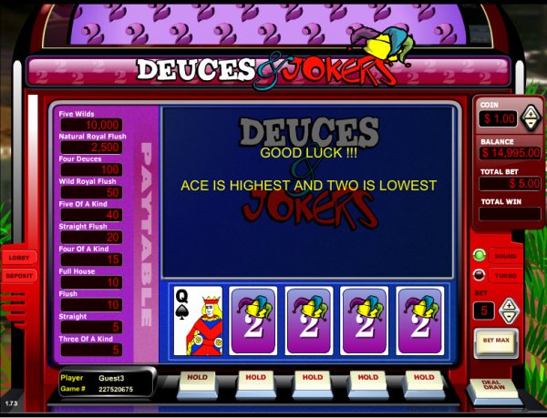 Deuces & Jokers Video Poker  Double-Up