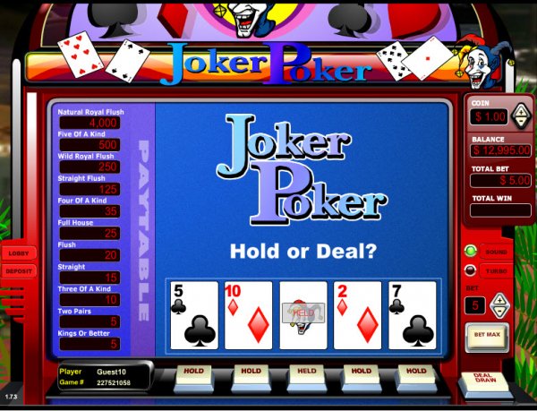 Joker Poker Single Hand Video Poker Hold
