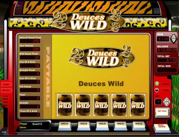 Deuces Wild Single Hand Video Poker Game