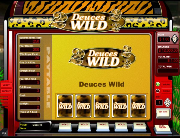 super bonus deuces wild video poker strategy