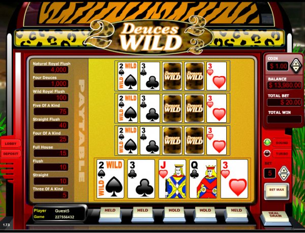 video poker deuces wild free