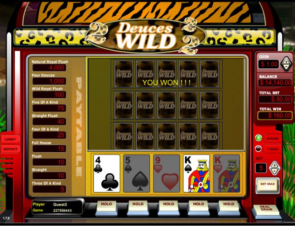 Deuces Wild Four Hand Video Poker Doubling Game