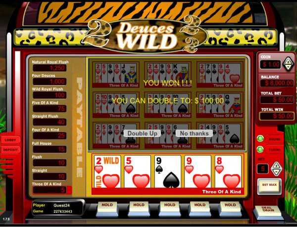 Deuces Wild  Ten Hand Video Poker Gamble?