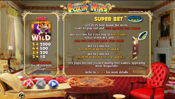 Foxin' Wins Slot Super Bet Feature
