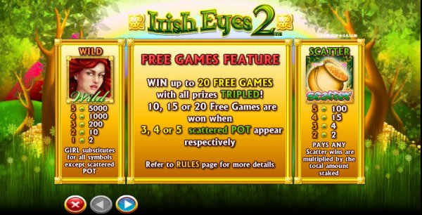 Irish Eyes 2 Features