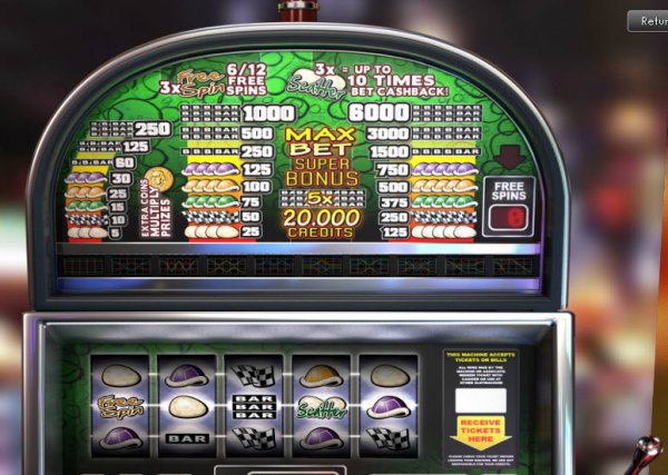Turtle Run Slots Pay Table