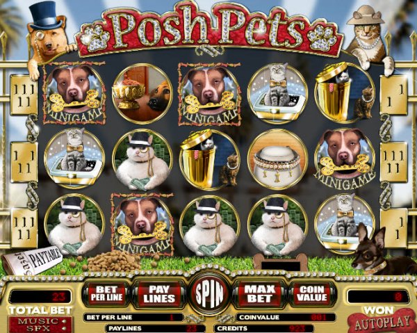 Posh Pets Slot Game Reels
