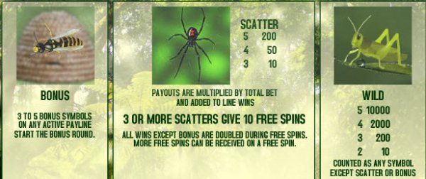 Insect World Slots Bonus Features