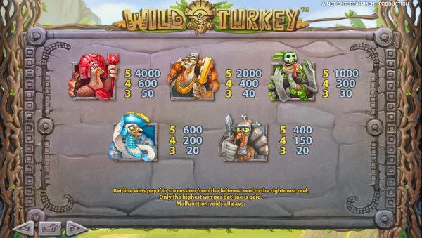 Wild Turkey Slot Pay Table