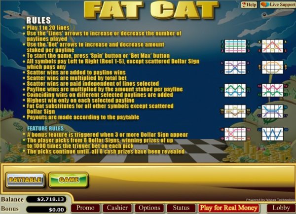 Rules from Fat Cat video slots game