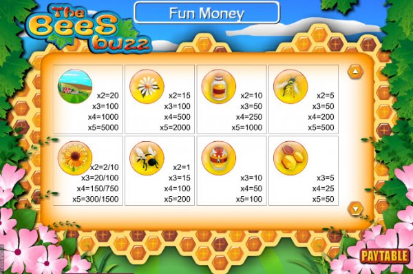 The Bees Buzz Slot Pay Table