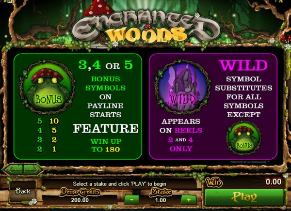 Enchanted Woods Game Features