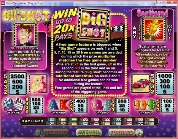 Paytable from Big Shot Slots by RealTime Gaming