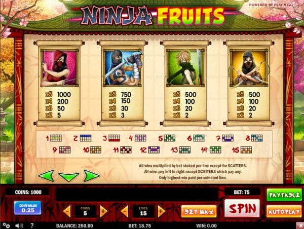 Ninja Fruits Slot Pay Table