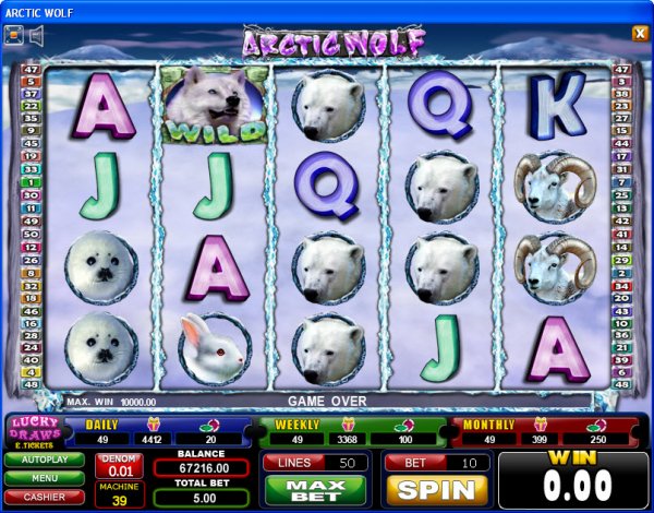 Arctic Wolf Slot Game Reels