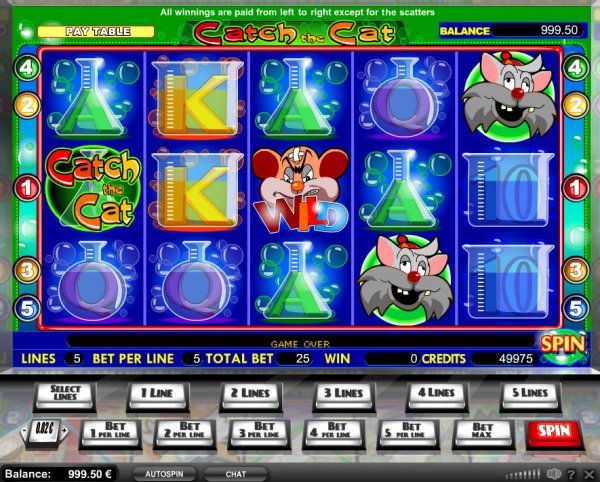 Catch The Cat Slot Game Reels