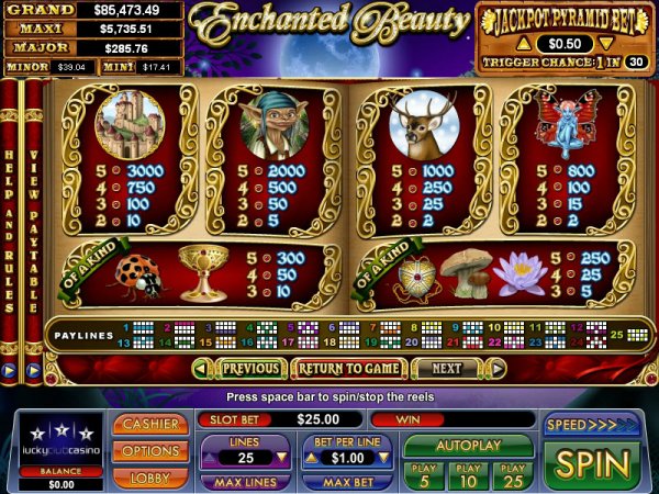 Enchanted Beauty Slot Pay Table