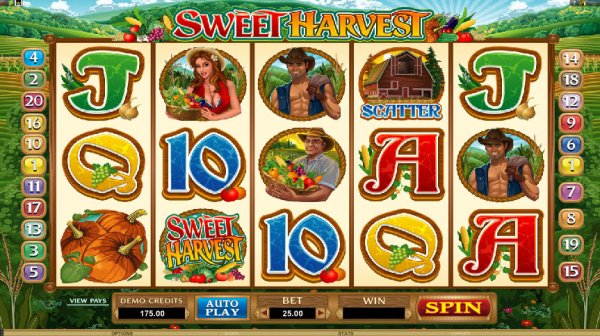 Sweet Harvest  Slot Game Reels