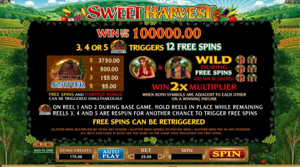 Sweet Harvest  Slot Game Features