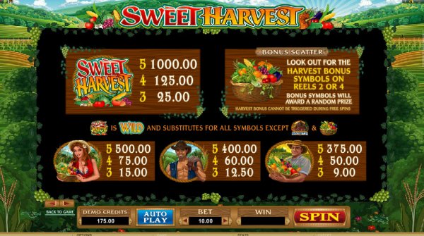 Sweet Harvest  Slot Pay Table