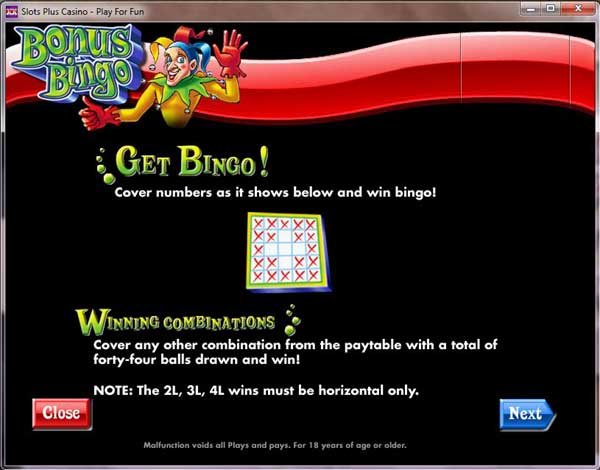 Instructions #1 for Bonus Bingo from RealTime Gaming