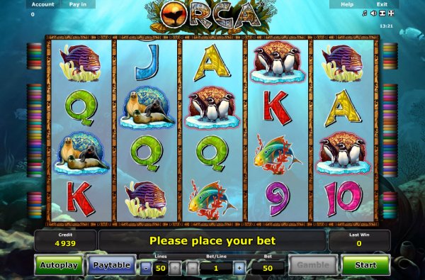 Orca Slots Game Reels