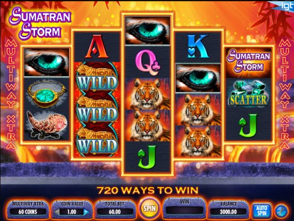 Sumatran Storm Slot Game Reels
