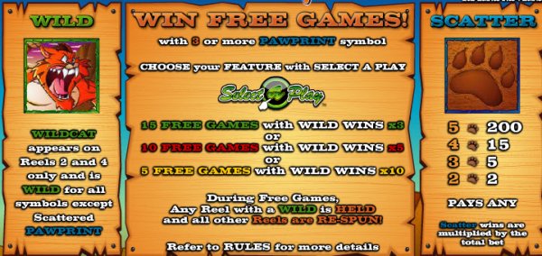 Wildcat Canyon Slot Game Features