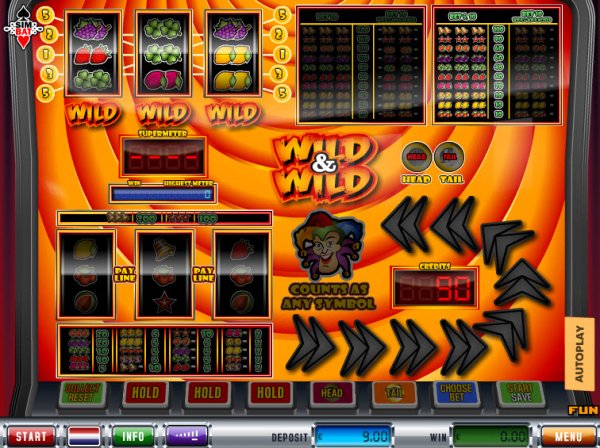 Wild and Wild Slot Game Reels