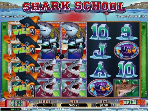 Shark School Slot Game Reels