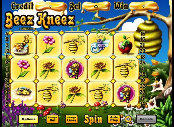 Beez Kneez Slot Game Reels
