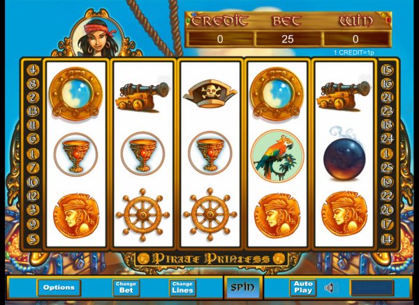 Pirate Princess Slot Game Reels