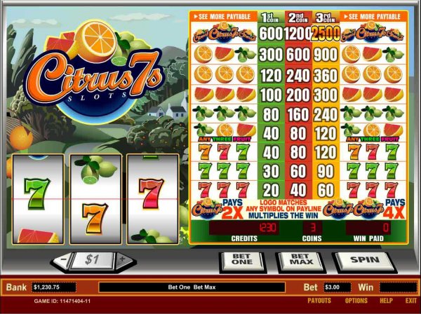 Screenshot of Citrus 7's Slots from Parlay Entertainment.