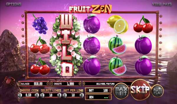 Fruit Zen Arcade Slot Game Reels